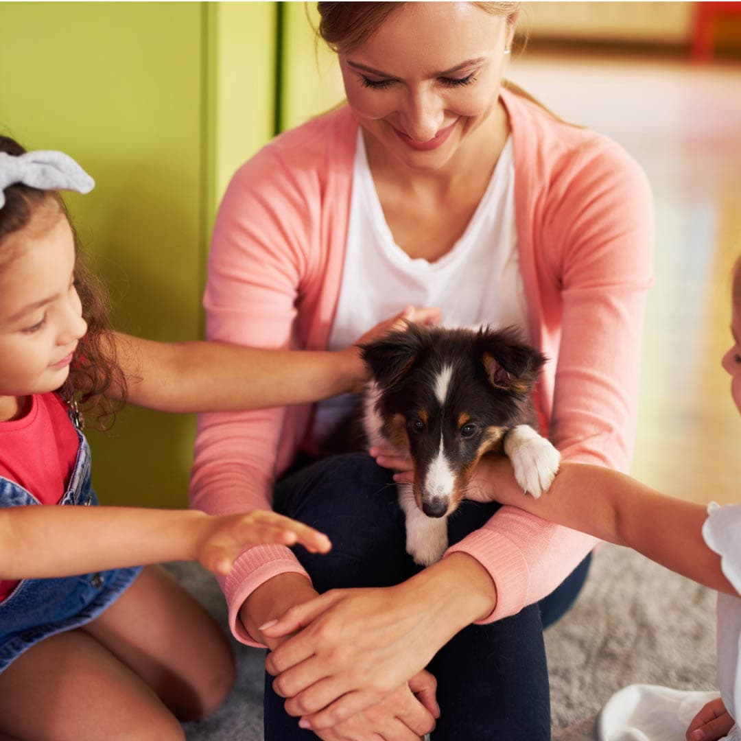 Featured image for A Guide to Early Puppy Socialization: Building a Confident Dog for Life - Comprehensive pet insurance guide