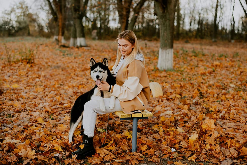 Featured image for Autumn Pet Care Guide: Is Your Furry Friend Ready for Cooler Weather? - Comprehensive pet insurance guide