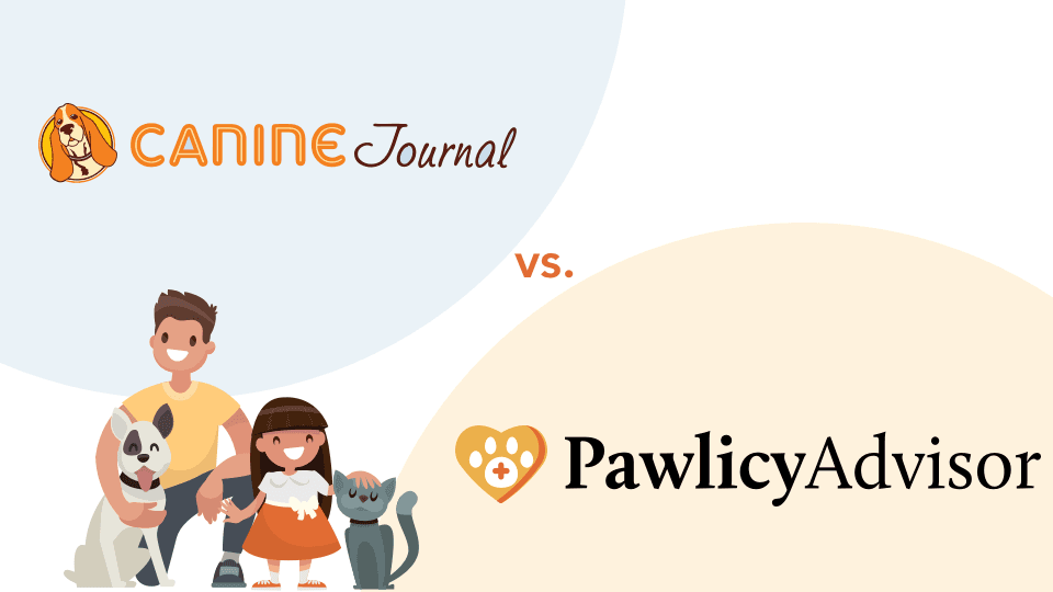 Featured image for Pet Insurance Comparison: Finding Your Best Coverage Platform - Comprehensive pet insurance guide