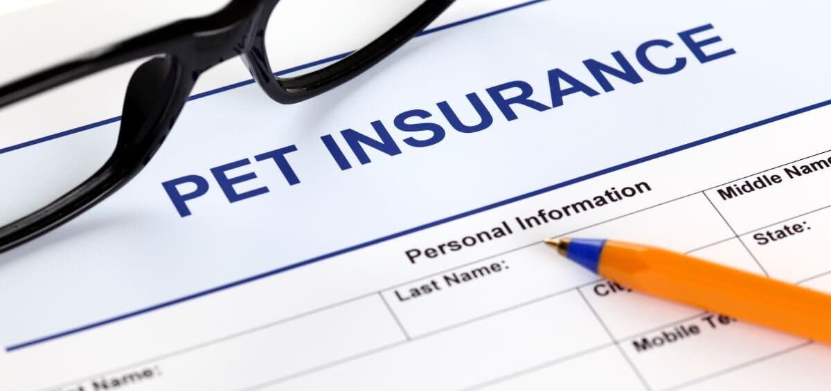 Featured image for Pet Insurance Scams 2025: 5 Sneaky Traps to Dodge & Protect Your Wallet - Comprehensive pet insurance guide