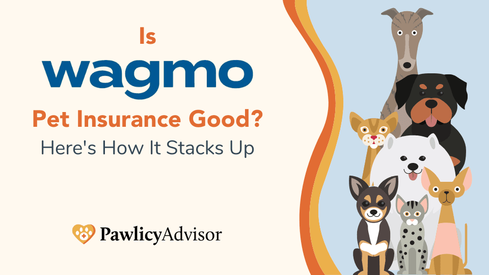 Featured image for Pet Wellness & Insurance: Is a Leading Provider Right for Your Furry Friend? - Comprehensive pet insurance guide