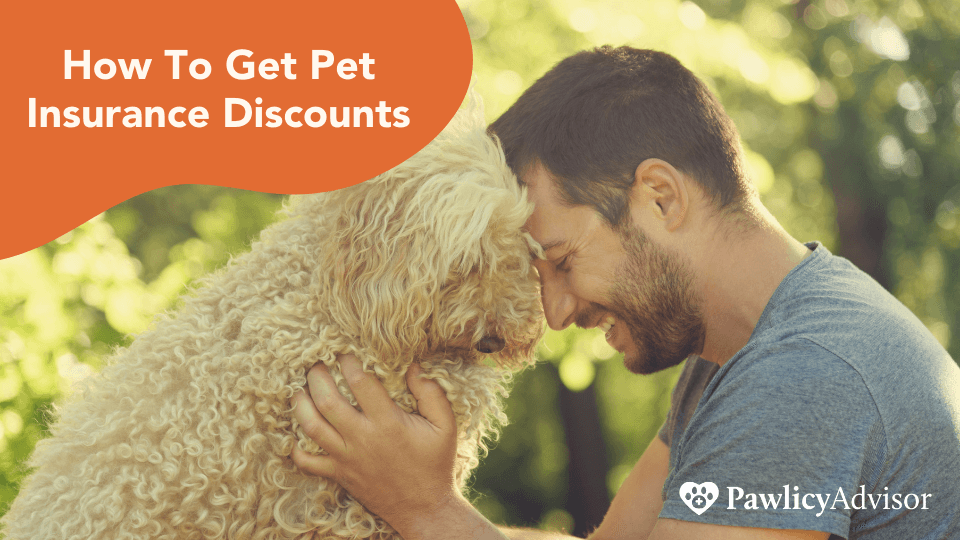 Featured image for Slash Your Vet Bills: Smart Pet Insurance Discounts & Cheaper Rates - Comprehensive pet insurance guide