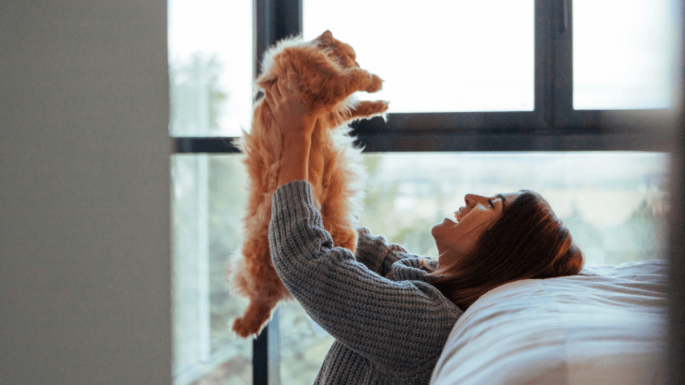 Smart Savings: 5 Key Ways to Slash Your Cat Insurance Premiums - Pet insurance guide and review