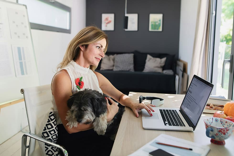 Featured image for Unlocking Workplace Bliss: The Real Perks of Take Your Dog to Work Day - Comprehensive pet insurance guide